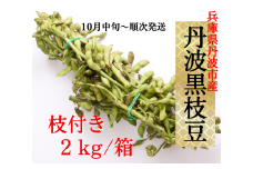 枝付き　丹波産丹波黒枝豆2㎏