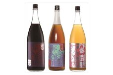 小鼓リキュール1800ml×3種セット
