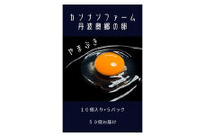 丹波奥郷の卵　やまぶき　４５個+５個破卵補償　(約3㎏）