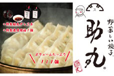 冷凍生餃子１１１個入り+特製助丸タレ２本+特製濃厚辣油１個