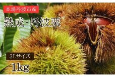 高湿低温熟成　丹波栗 3L 1kg（丹波市産）