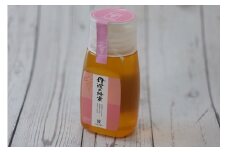 丹波の蜂蜜　300g×1個（ボトル）：配送情報備考　桜蜜