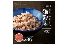 大納言小豆の雑穀パック飯　36個