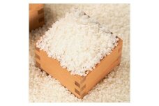 【６ヶ月定期便 】丹波コシヒカリ  (5kg × 6袋)