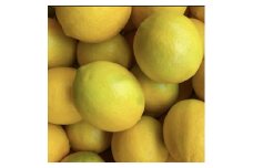 丹波市産　檸檬｛山麓のレモン｝ 1.2kg
