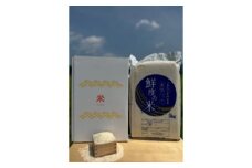 特別栽培米　丹波コシヒカリ　(真空)5kg　