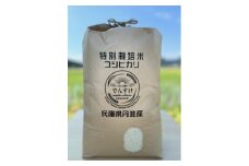 特別栽培米　丹波コシヒカリ　10㎏