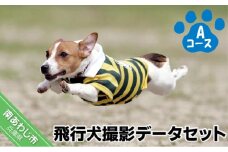 Aコース　飛行犬撮影データセット