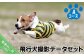 飛行犬撮影データセット