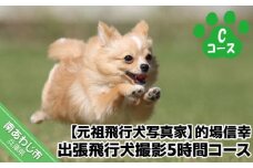 Cコース　元祖飛行犬写真家　的場信幸　出張飛行犬撮影5時間コース