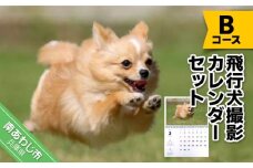 Bコース　飛行犬撮影カレンダーセット