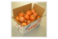 農家さんが丹精込めて作った「淡路島産玉ねぎ」 5kg