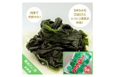 肉厚 塩わかめ　220g×5袋入り