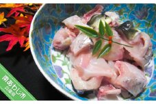 【淡路島3年とらふぐ】アラ身500ｇ(約３人前)【数量限定！】