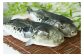 【若男水産】【淡路島3年とらふぐ】竹　ふぐ鍋　刺身セット（3～4人前）