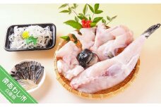【淡路島3年とらふぐ】丸ごと1匹  身欠き！