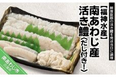 ［南あわじのハモ］南あわじ産 活き鱧　だし付きでお届け！