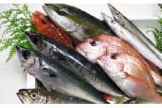 【頒布会】【期間限定】季節の便り！旬の高級魚 詰め合わせ　全3回