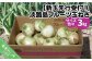 【新玉予約・サイズ色々】淡路島フルーツ玉ねぎ３kg
