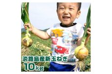 【新玉ねぎ】淡路島産　新玉ねぎ　10kg◆発送４月～