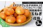 特別栽培の玉葱『戎珠（えびすたま）』