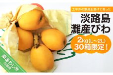【期間限定・数量限定】淡路島灘産びわ