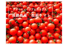 アグリミュージアムＮＡＤＡ　校庭トマト　２kg