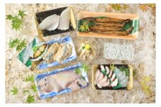 三代目淡路島鮮魚セット