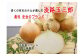 【淡路夢ファーム】　玉ねぎ（淡路玉三郎）10ｋｇ