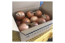 淡路島玉ねぎ（サイズ混）5ｋｇ