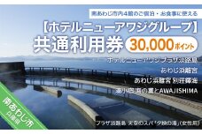 【ホテルニューアワジグループ】南あわじ市内施設　共通利用券
