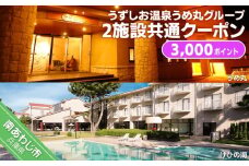 うずしお温泉うめ丸グループ【2施設共通クーポン】3000P