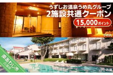 うずしお温泉うめ丸グループ【2施設共通クーポン】15000P
