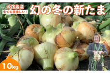 【野口ファーム】幻の冬の新たまねぎ 10kg　約30個入　◆配送12月～