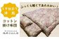 『うす仕立て洋風・コットン95%』掛け布団＜抗菌・防ダニ＞/シングル・ピンク