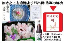 朝〆捌きたてを漁港直送【活きにこだわり】淡路島３年とらふぐ丸ごと１尾使用!【贅沢ふぐちりてっさセット約2人前】五つ星兵庫認定の特選ポン酢付き