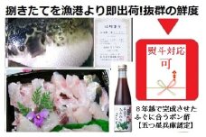 朝〆捌きたてを漁港直送【活きにこだわり】淡路島３年とらふぐ丸ごと１尾使用!【贅沢ふぐちりセット約4人前】五つ星兵庫認定の特選ポン酢付き