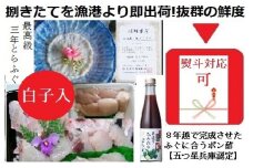 朝〆捌きたてを漁港直送【活きにこだわり】淡路島３年とらふぐ丸ごと１尾使用!【白子入り贅沢ふぐちりてっさセット約２人前】五つ星兵庫認定の特選ポン酢付き