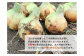【５kg】兵庫県認証食品★特別栽培★淡路島たまねぎ
