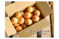 【２０kg】兵庫県認証食品★特別栽培★淡路島たまねぎ