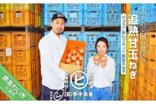 淡路島産玉葱　うずしお追熟甘玉ねぎ　5kg