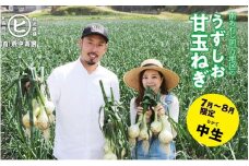 淡路島産うずしお甘玉ねぎ　5kg