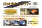 淡路島モッツァレラとカチョカヴァロ　各１個セット