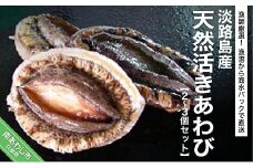 漁師厳選！極上淡路島産天然活きあわび（2～3個）