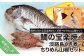 【福神水産】鯛の宝楽焼と淡路島くぎ煮＋ちりめん山椒セット