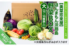 【美菜恋来屋】ほんまもん淡路島野菜BOX（大）