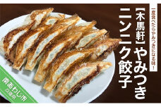 やみつきニンニク餃子
