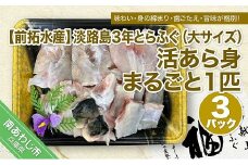 【冷蔵配送】淡路島3年とらふぐ（大サイズ）活あら身まるごと1匹　3Pセット◆配送10月8日～3月31日