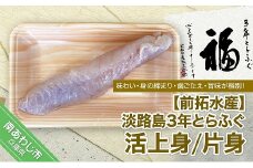 【冷蔵配送】淡路島3年とらふぐ（活上身/片身）◆配送10月8日～3月31日