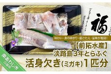 【冷蔵配送】前拓水産の淡路島3年とらふぐ（活身欠き【ミガキ】１匹分）◆配送期間10月25日～3月31日